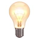 Bulb