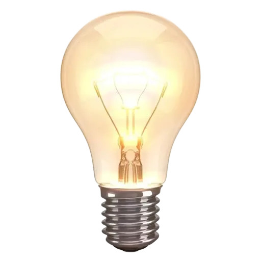 Bulb